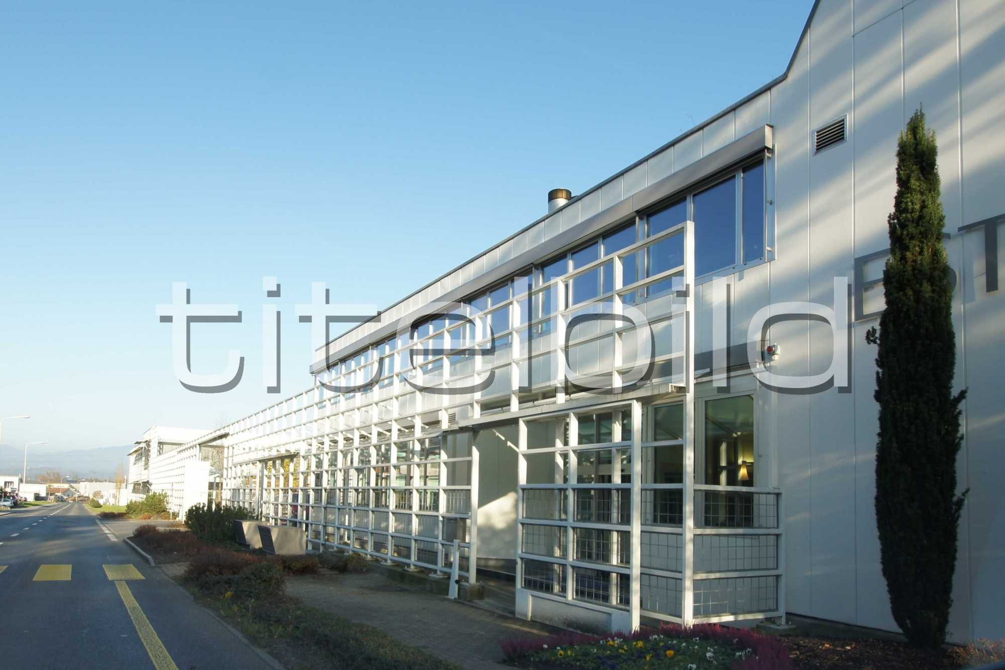 Projektbild-Nr. 2: Ditribution Center Estée Lauder AG