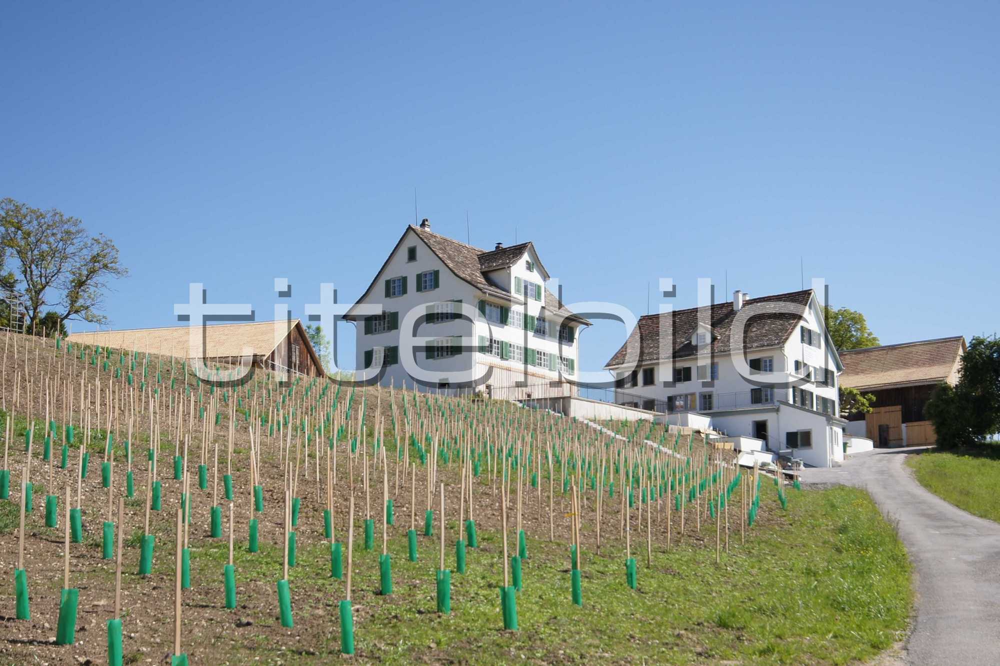 Projektbild-Nr. 2: Umbau Gutshaus