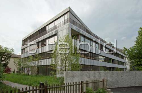 Bild-Nr: 4des Objektes 2SOL-Mehrfamilienhaus Buchzelg Zürich-Witikon