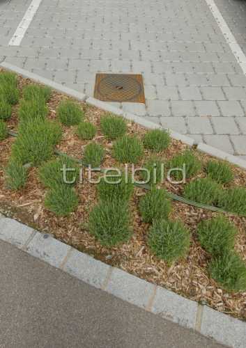 Bild-Nr: 4des Objektes Bachenbülach Autocenter Bülach-Süd