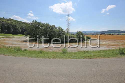 Bild-Nr: 1des Objektes K10 Naturschutzmassnahmen Chernensee/Bodenaufwertung Lee