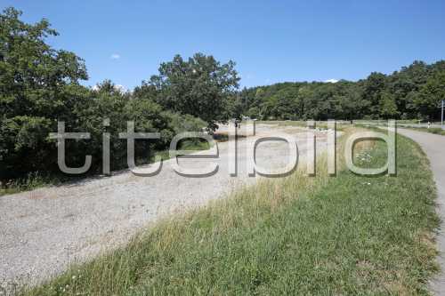 Bild-Nr: 3des Objektes K10 Naturschutzmassnahmen Chernensee/Bodenaufwertung Lee