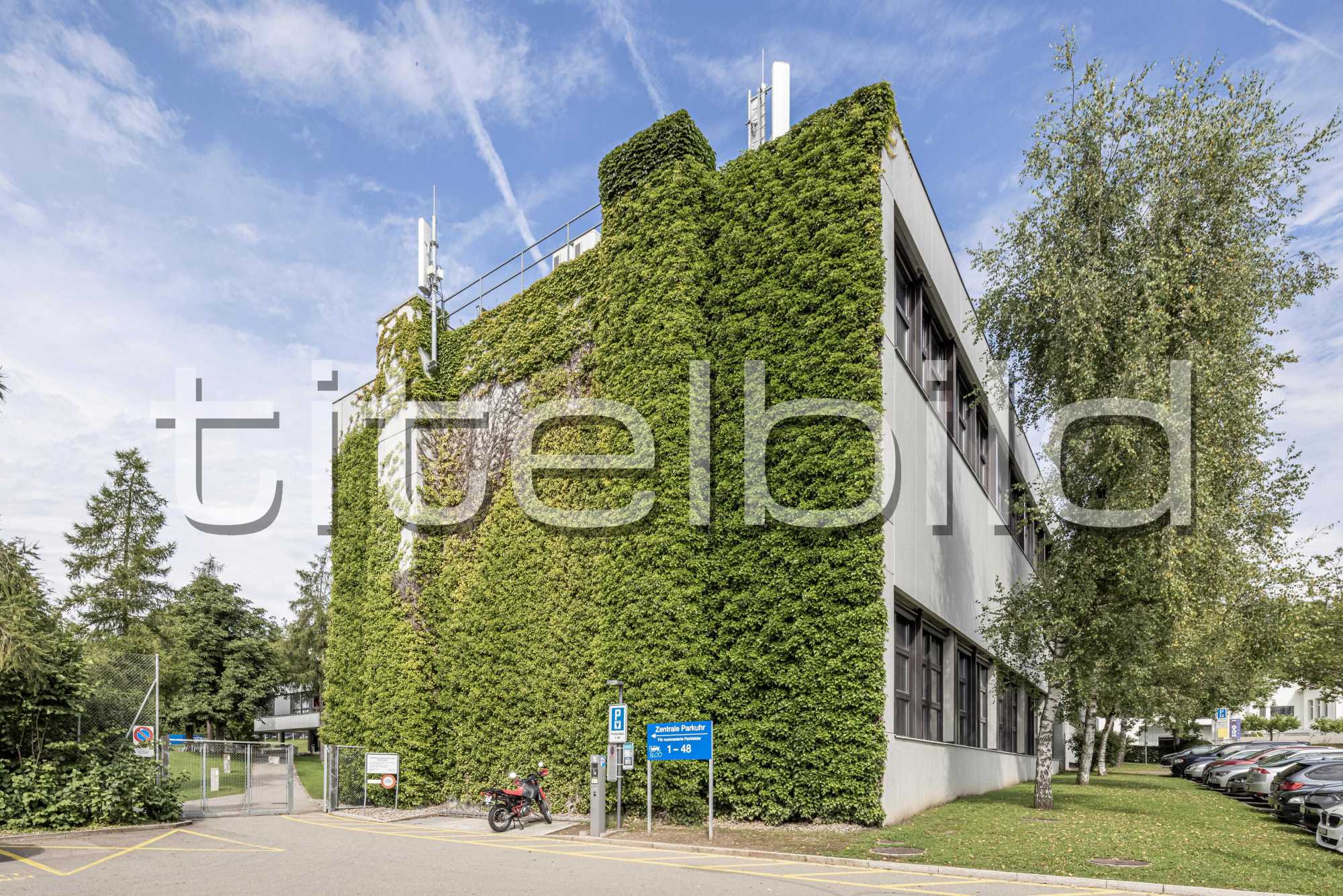 Projektbild-Nr. 4: Hochschulsportanlage Fluntern