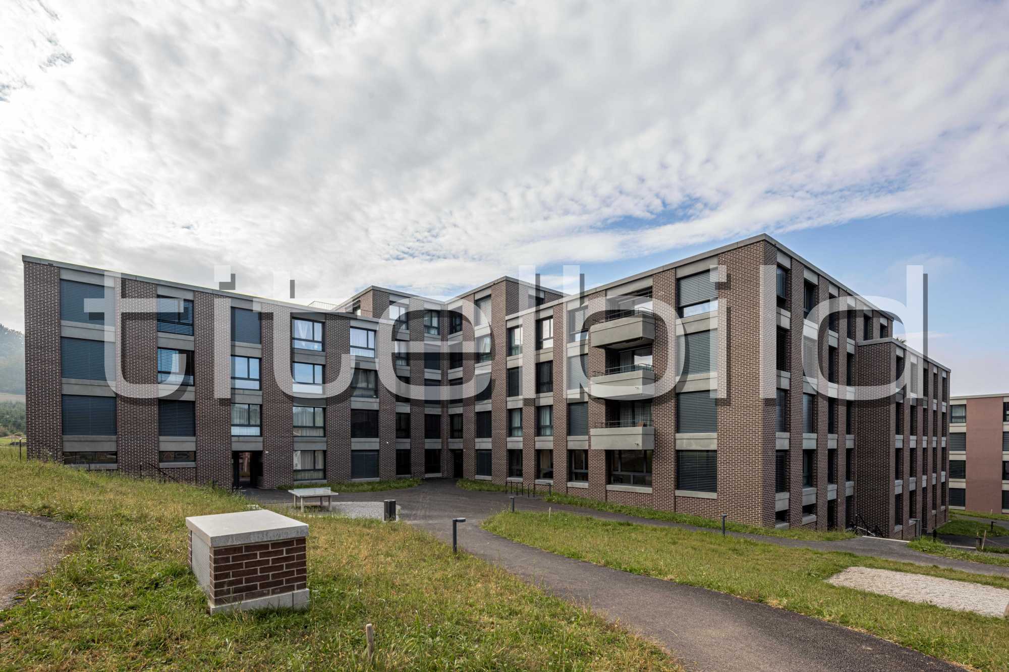 Projektbild-Nr. 1: Neubau Wohnsiedlung Tüfwis, Winkel