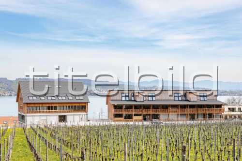 Bild-Nr: 2des Objektes Studentisches Wohnen Wädenswil