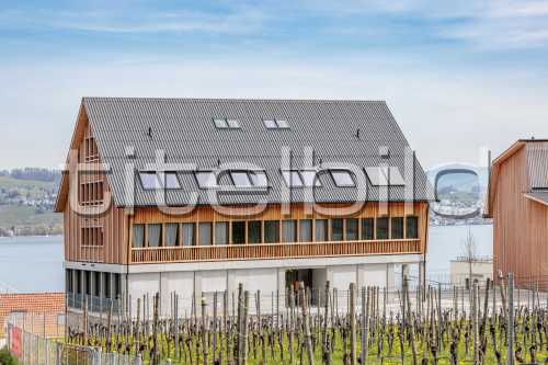 Bild-Nr: 3des Objektes Studentisches Wohnen Wädenswil