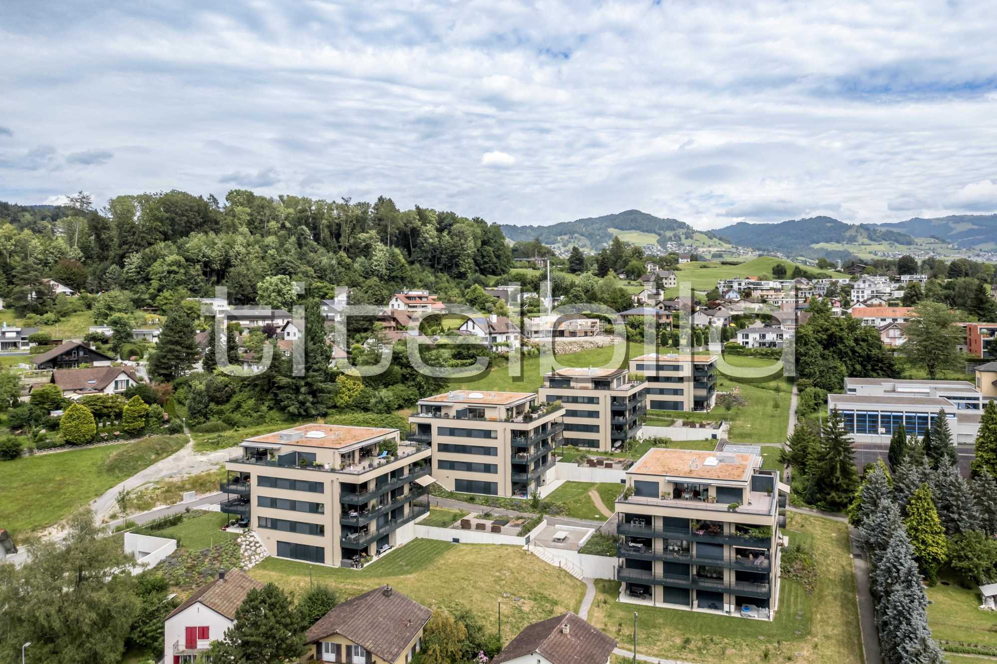 Projektbild-Nr. 0: Ahornpark
