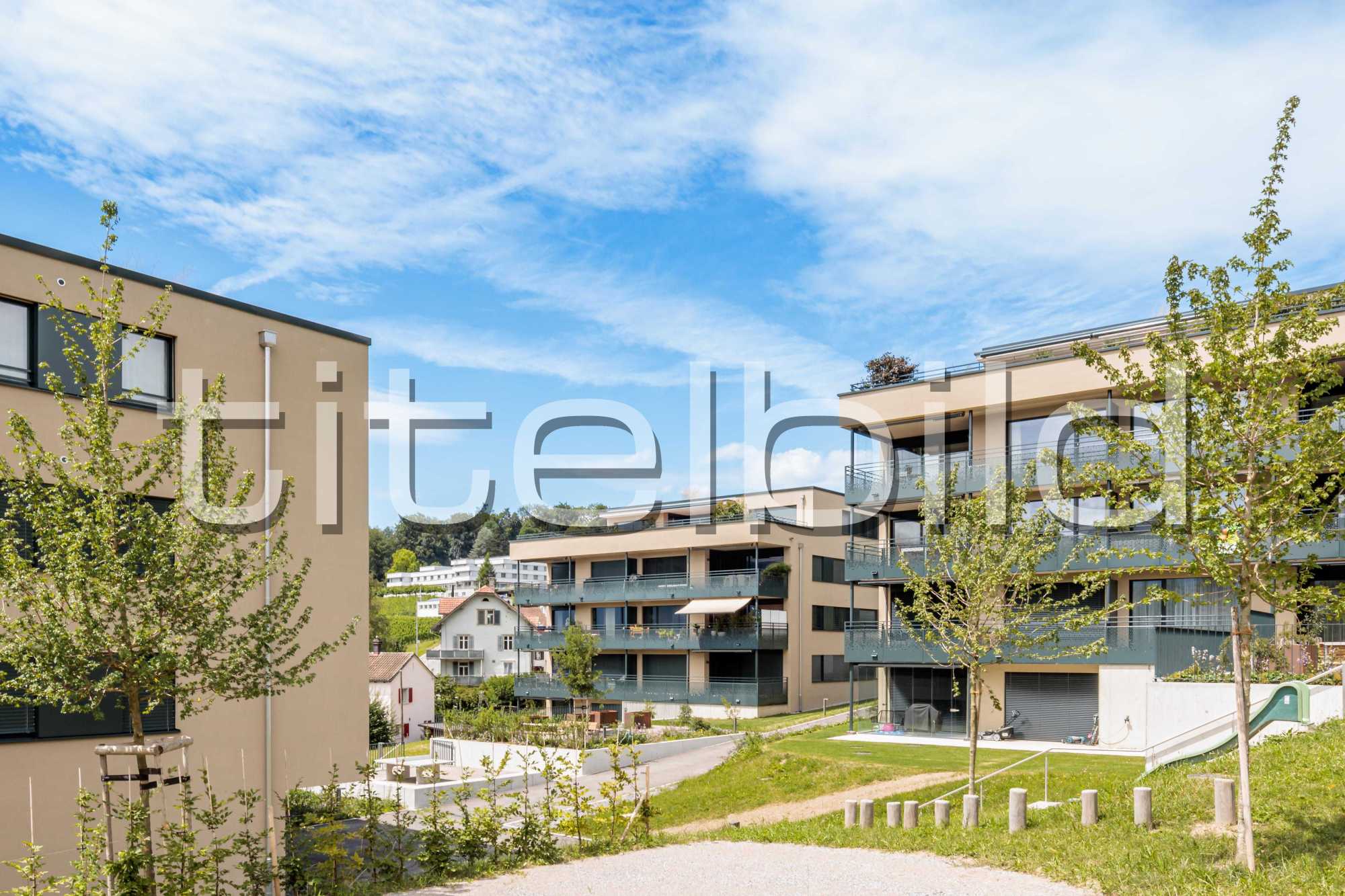 Projektbild-Nr. 9: Ahornpark