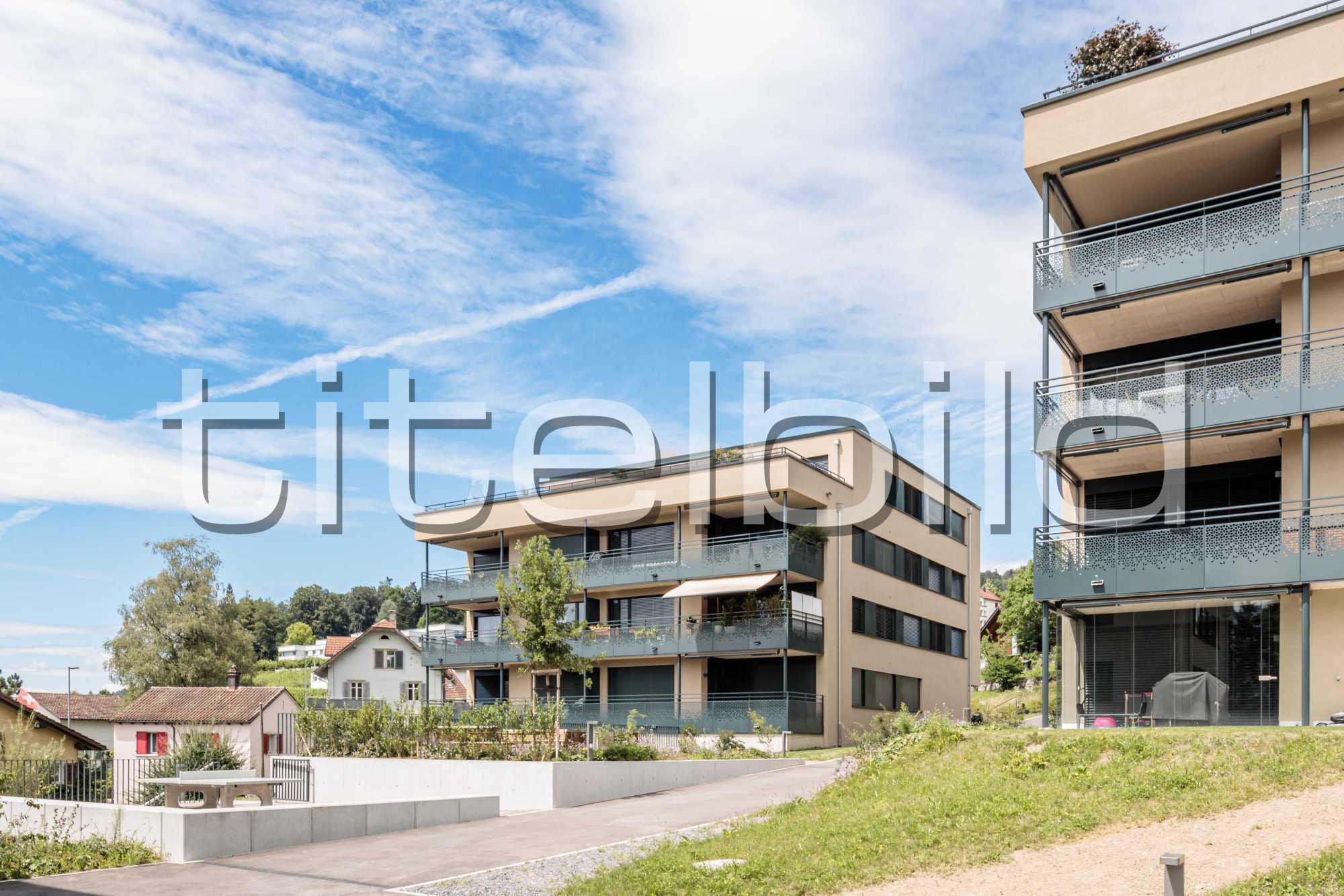 Projektbild-Nr. 8: Ahornpark