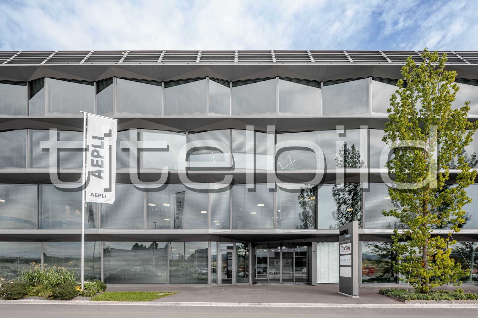 Projektbild-Nr. 2: Neubau Aepli Firmensitz