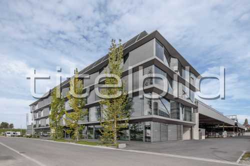Bild-Nr: 4des Objektes Neubau Aepli Firmensitz