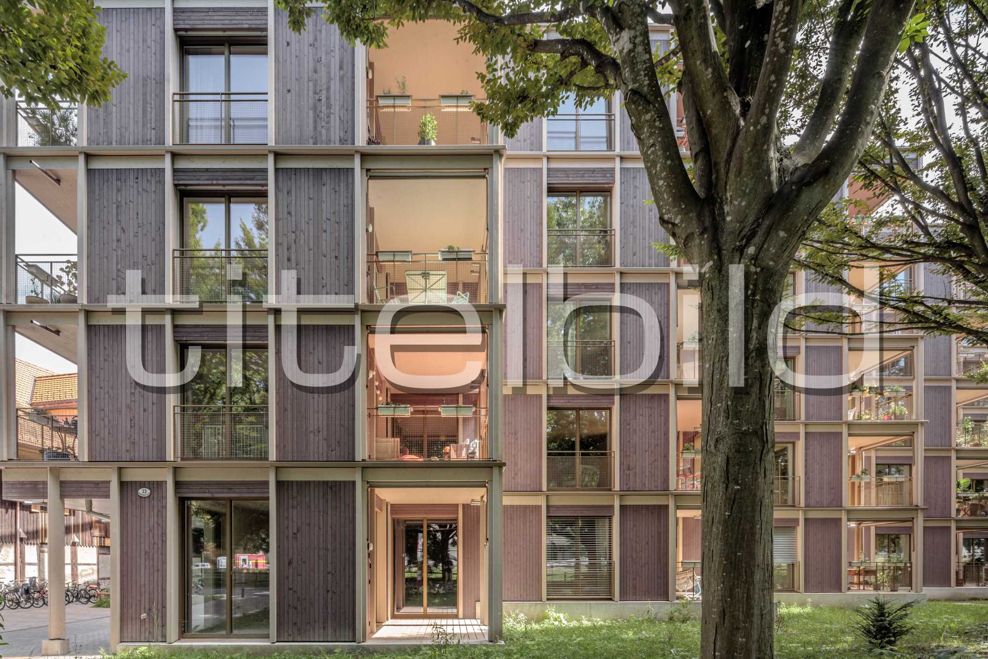 Projektbild-Nr. 5: Wohn- und Gewerbegebäude Eichwald