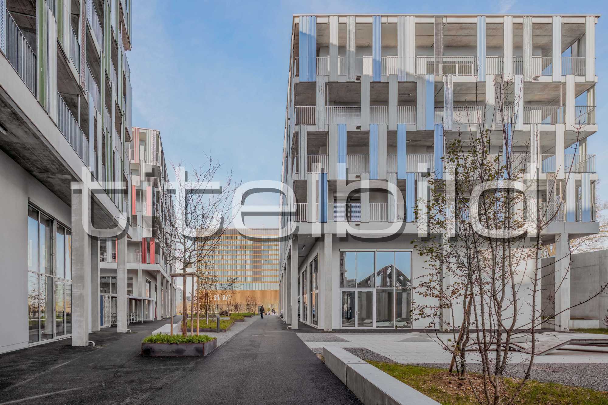 Projektbild-Nr. 3: Co-Next