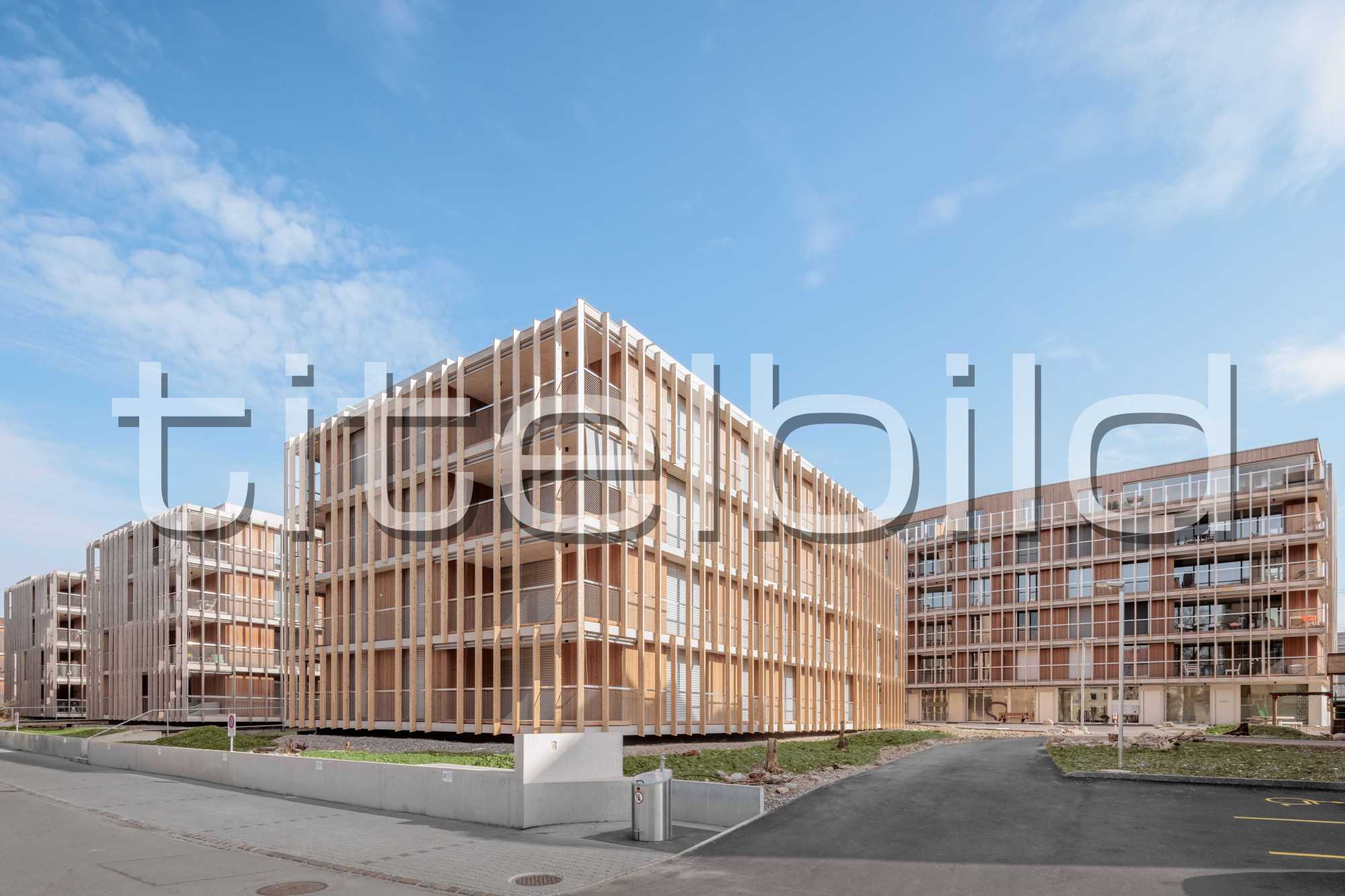 Projektbild-Nr. 3: Stadtsiedlung Lindenweg