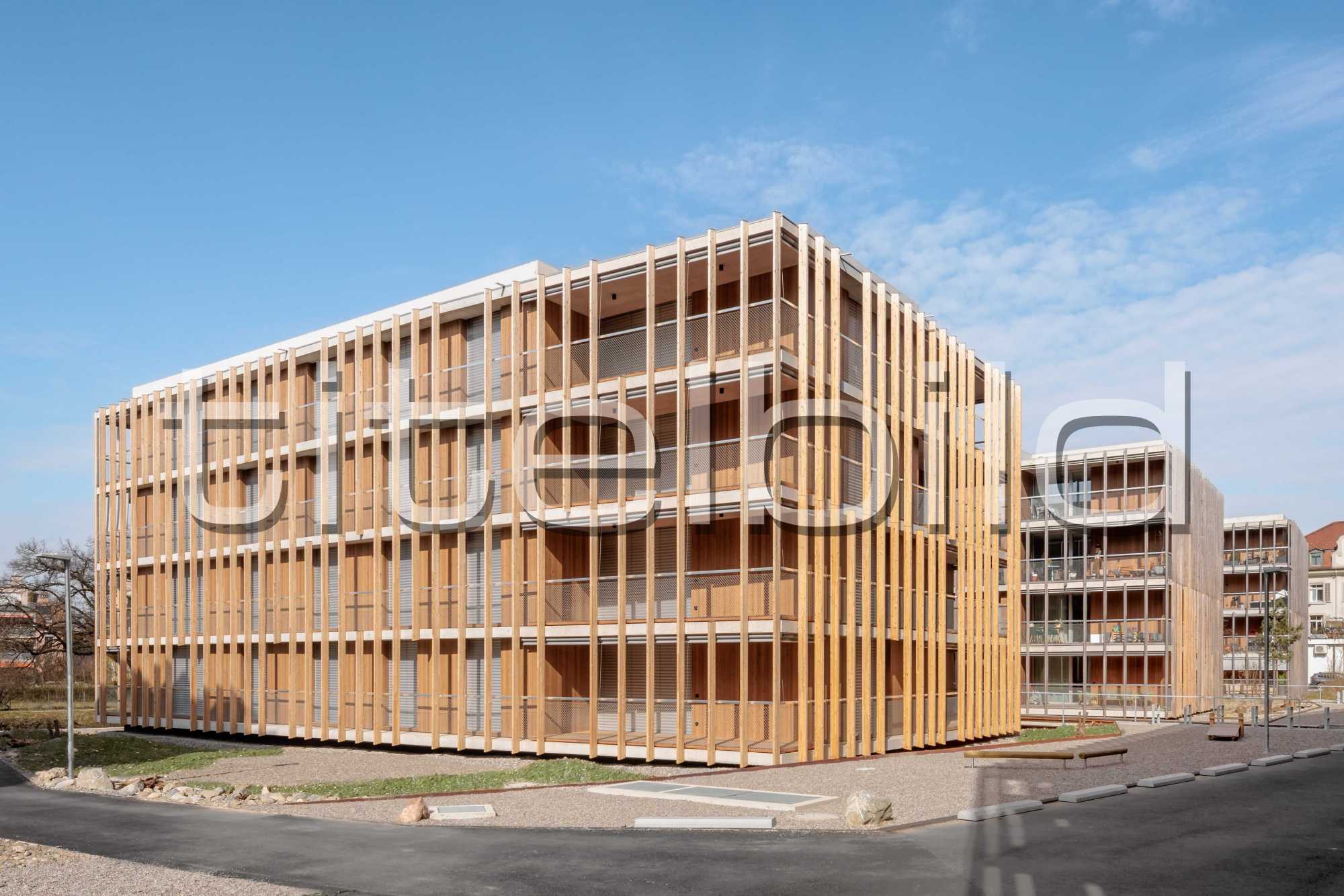 Projektbild-Nr. 5: Stadtsiedlung Lindenweg