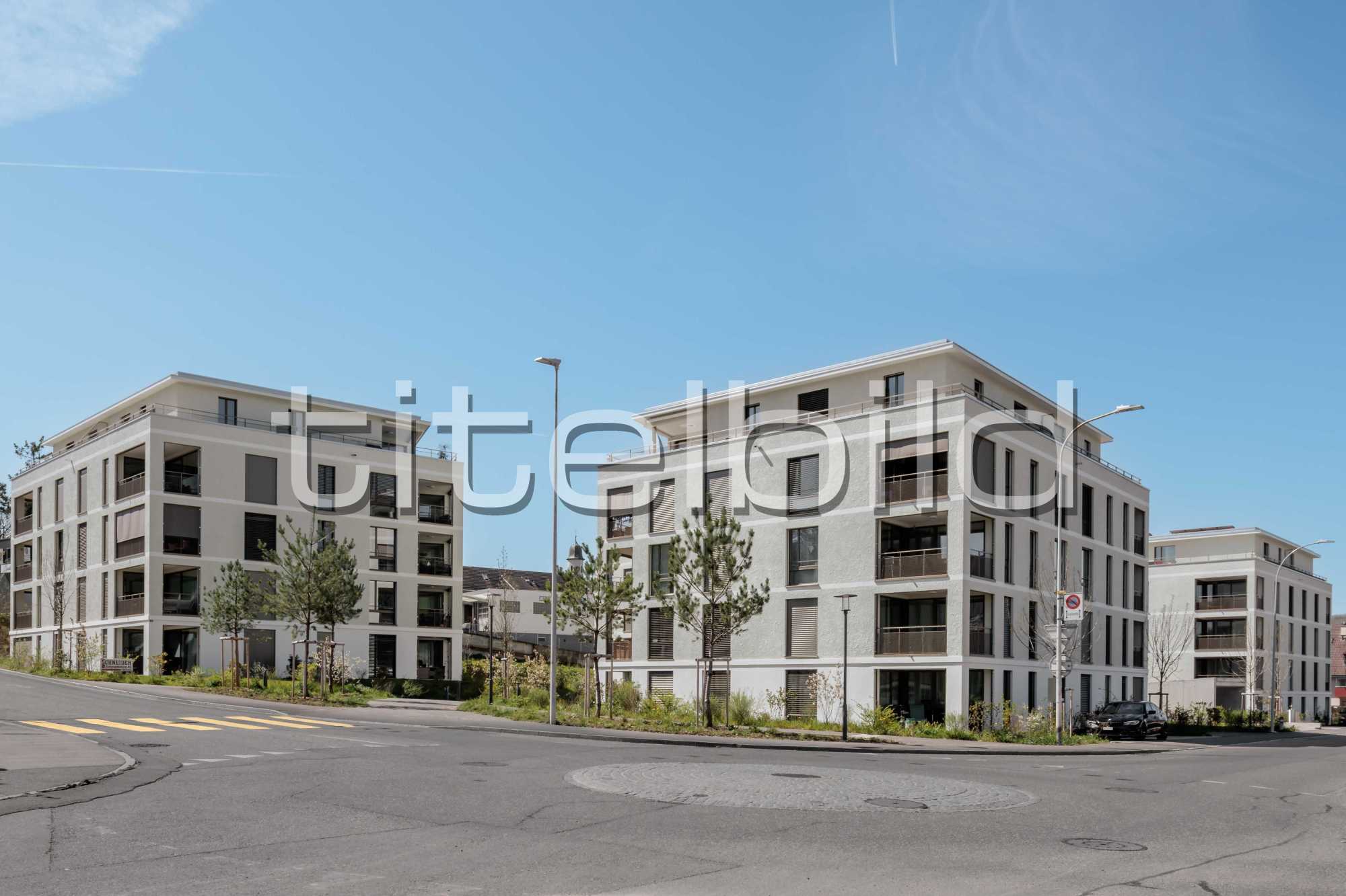 Projektbild-Nr. 0: Stöcklimatt