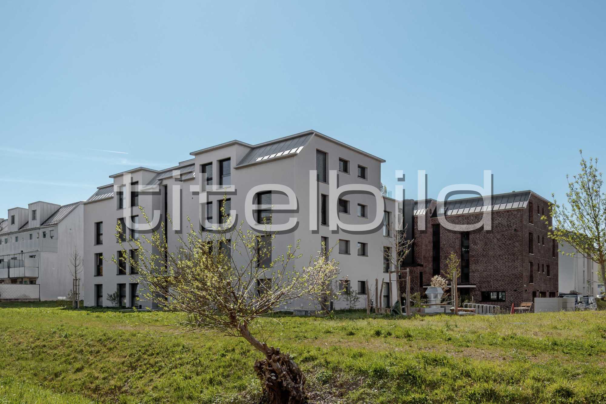 Projektbild-Nr. 3: Im Heumoos