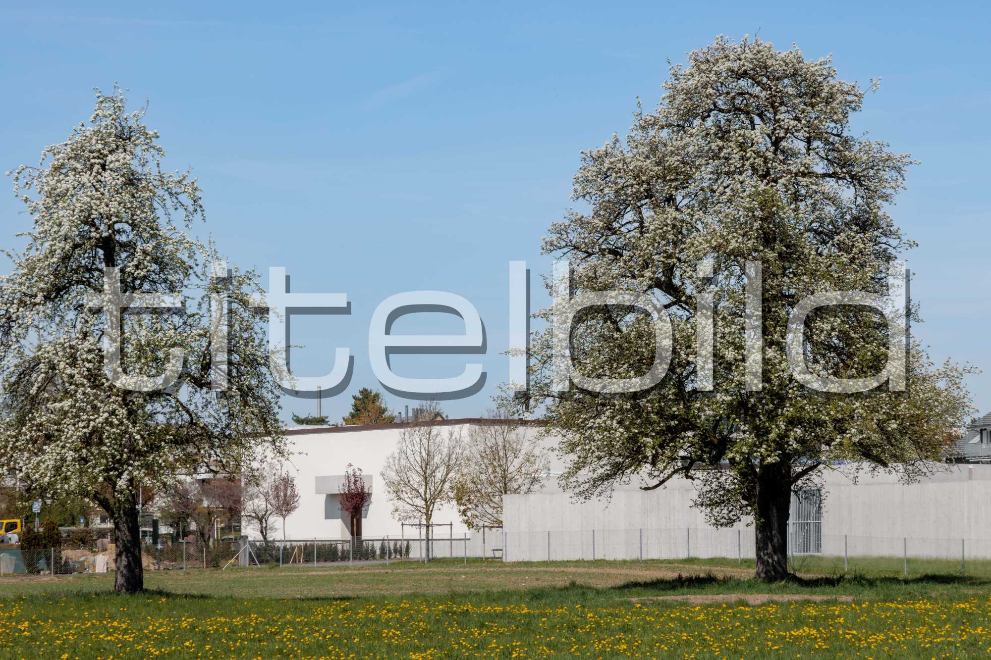 Projektbild-Nr. 3: Sanierung und Erweiterung Friedhof Wetzikon