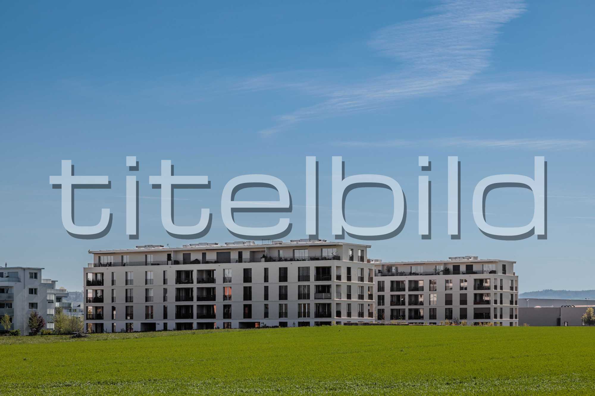 Projektbild-Nr. 3: Am Nägelisee