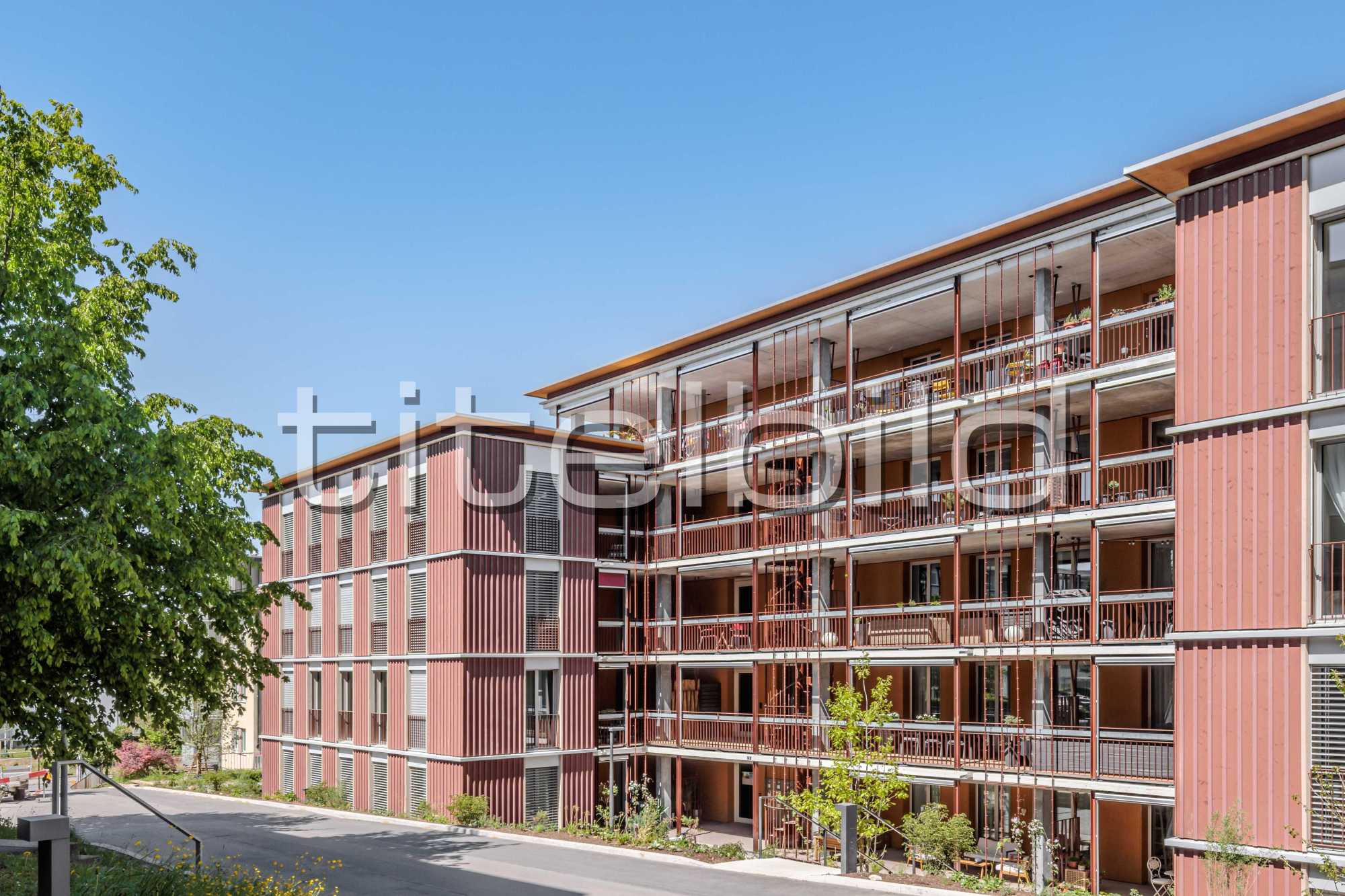 Projektbild-Nr. 6: Neubau Siedlung Bramen C