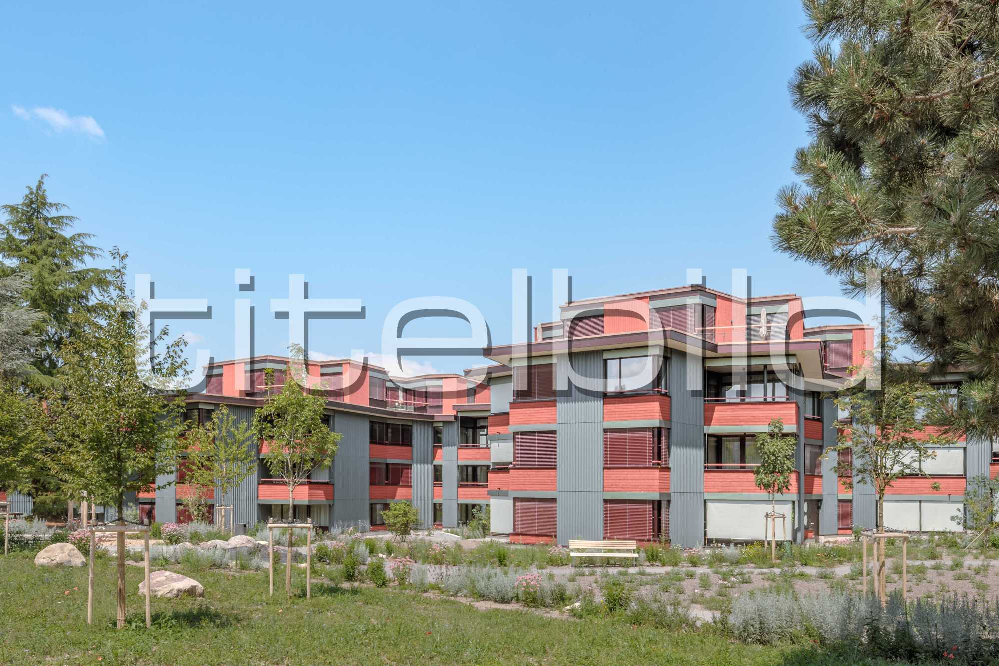 Projektbild-Nr. 7: Ersatzneubau Kreuzacker Dietikon