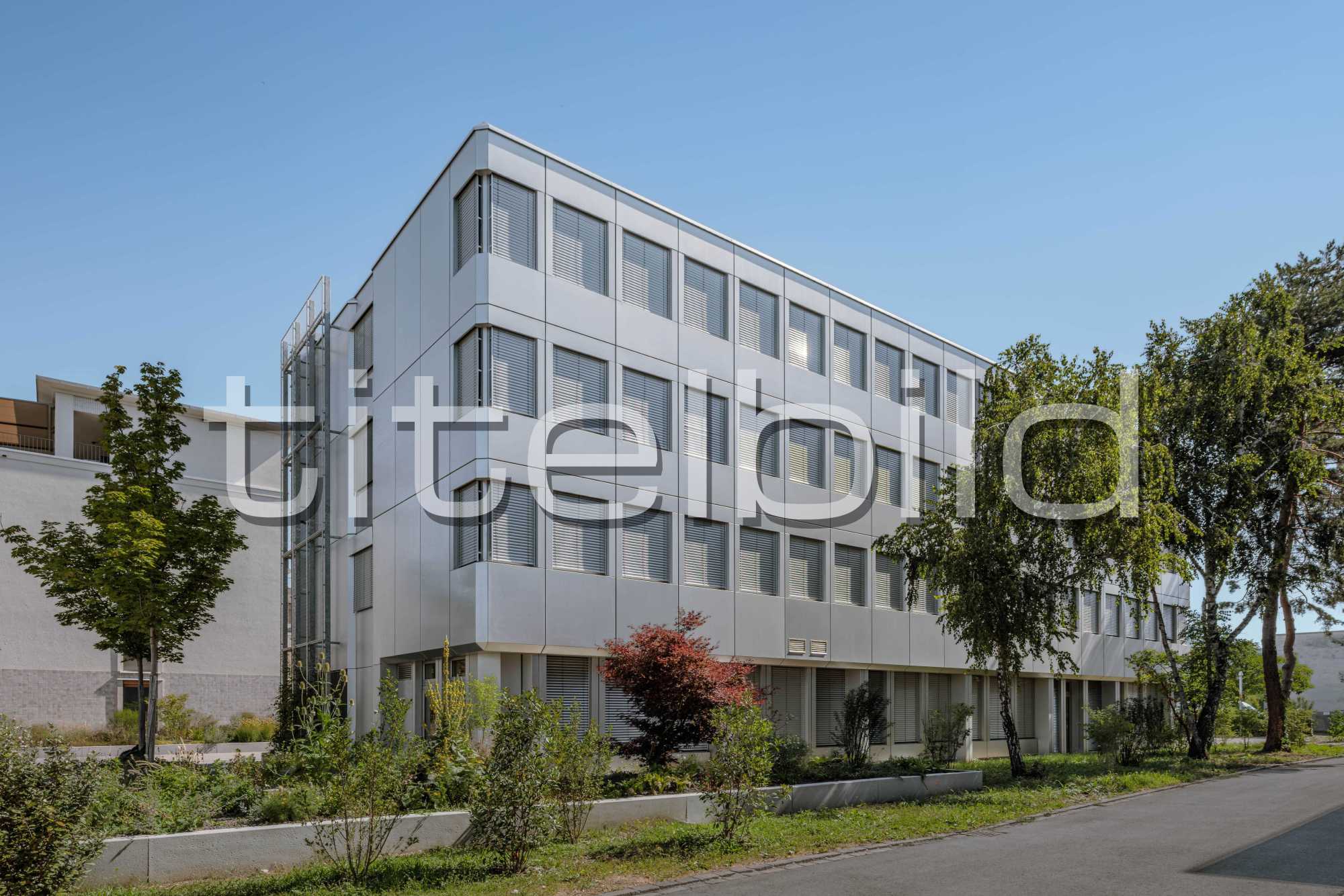 Projektbild-Nr. 3: Musikschule Reinach