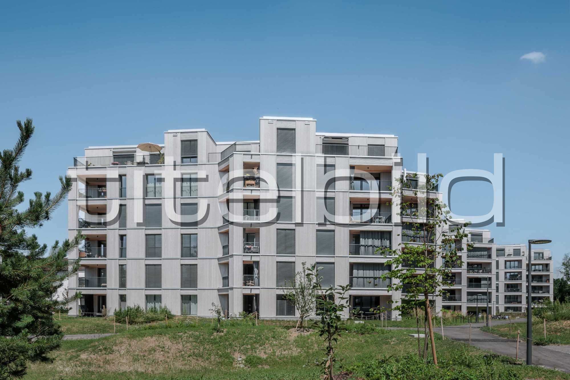 Projektbild-Nr. 3: Ersatzneubau im Zelg